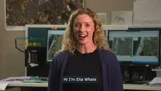 Working at Horizons - Compilation
