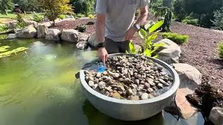 How to add additional filtration to your ecosystem pond