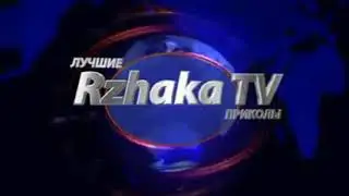 Приколы с котами