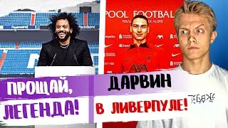 Трансферы Лета 2022! Дарвин Нуньес - игрок Ливерпуля! Пике уходит из Барсы ?Марсело покидает Реал …
