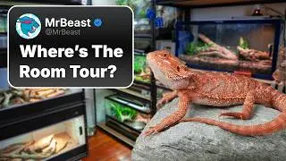 Reptile Room Tour