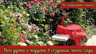 Создание розового сада и его ошибки. Мои удачи и неудачи в создании  моего сада.