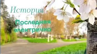 История: 