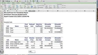 Linear Programming Sensitivity Analysis with Excel Solver: An Amusement Park Example