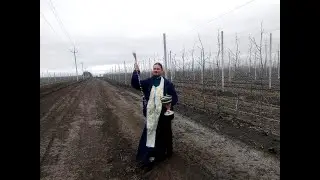 Освящение Владимировского сада