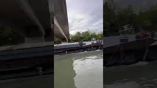 #мудростьмысли