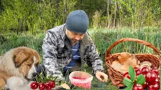 A Busy Family Life in a Belarusian Village! The Secret to Family Happiness. Work and Play!