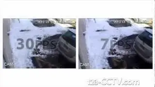 7fps vs. 30fps(Real-time) - 123CCTV