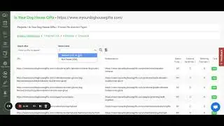 How to find internal linking issues // Twylu