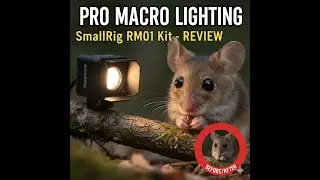 The Best Lighting for Macro Videography: SmallRig RM01 Kit Review