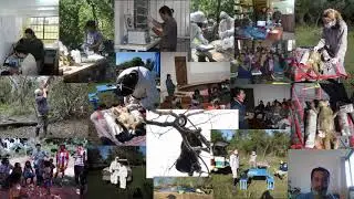 Dr. Martín Kowalewski - Investigador del Conicet - Corrientes