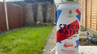 *NEW - HUGE COLLAB!* Thornbridge / Budvar - Czech Mates - Czech Style Lager #beerreview #beer