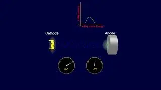 Radiological Sciences Student Project: The role of the kVp setting in the x-Ray spectrum