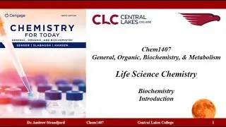 Chem1407 Lecture Notes Biochemistry Intro