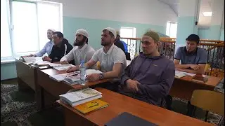 Они проехали тысячи километров ради ЭТОГО!