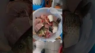 Уха всему голова😁👍👍👍 