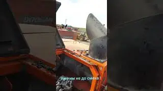 6 ноября 2023 г.