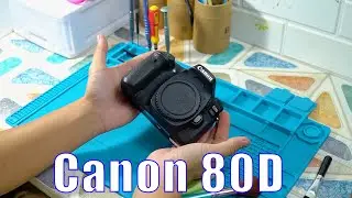 Clean Camera Canon 80D !!📸 #asmr