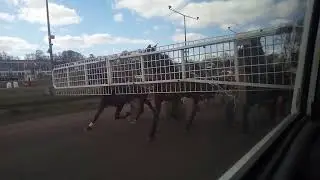 Pace car