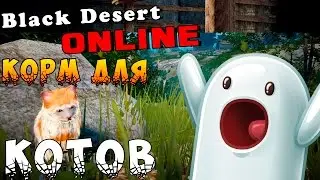 Black Desert - Как сделать корм для котов
