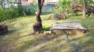 СКОСИЛ ТРАВУ У ДОМА