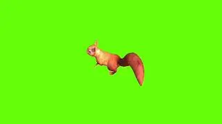 Left side walking squirrel green screen।cartoon green screen। squirrel green screen। ostad animation