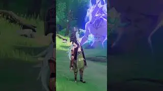 Rare Items in Genshin Impact