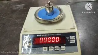 SHREE Jewellery weighing Scales Celibretion Systems