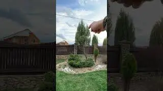 Результат 2-летней работы.