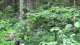BHAK/BHAS Eisenerz - Outtakes Runaway