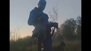 Охота на утку в забайкальском крае 2 день после открытия!