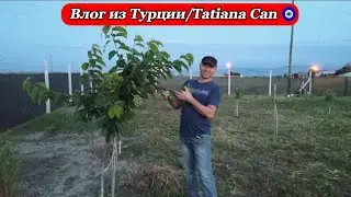 Влог из Турции/🚘 в огород, немного поработать 🥰/наша жизнь в Турции