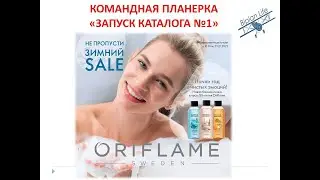 Запуск 1 каталога: планирование, акции и программы