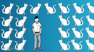 Cat Stroller Radio Commercial