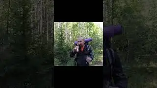 питание при выживании в лесу.