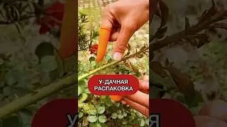 Как вам садовый напальчник? 