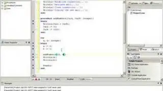 Delphi Training Series: Programming 101 - Episode 5