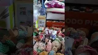 часть 1сильваниан фемилим показываю сваю колллекцию