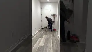 Sapphie la pomsky reacciona al regreso de su papá a casa