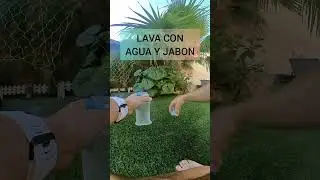 PICADURA DE AVISPA.. cómo actuar 