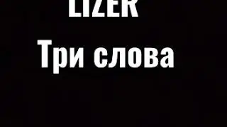 Караоке LIZER 