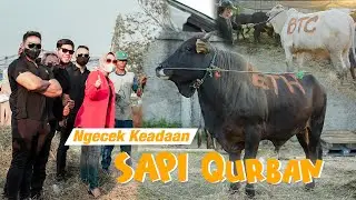Persiapan menjelang berbagi Qurban bersama Leslar Lovers Indonesia