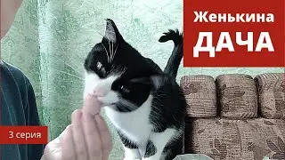 Дача. 3 серия. Начали огораживать ели и продолжили косить траву. Наша дача. Женькина дача.