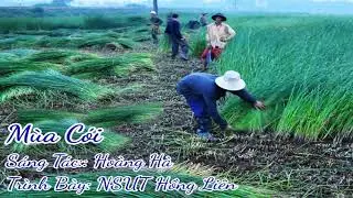 Mùa Cói (Hoàng Hà) - NSƯT Hồng Liên - Tốp ca ĐTNVN