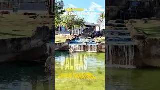Em palmas Tocantins, Qual nome da sua cidade #tocantins
