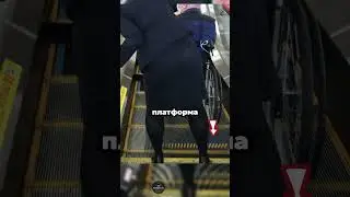 Japanese wheelchair escalator: how does it work?