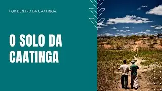 O solo da Caatinga