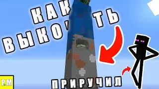 Выкопал Целый Чанк | Зачем Это Нужно | Как Приручить Эндермена