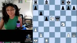 BEST Chess Daily Twitch Moments #311