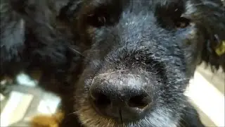 Мне очень трудно принять решение